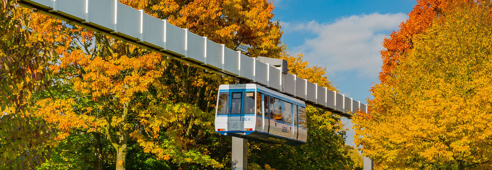 H-Bahn im Herbst H-Bahn und Bäume mit bunten Blättern im Herbst